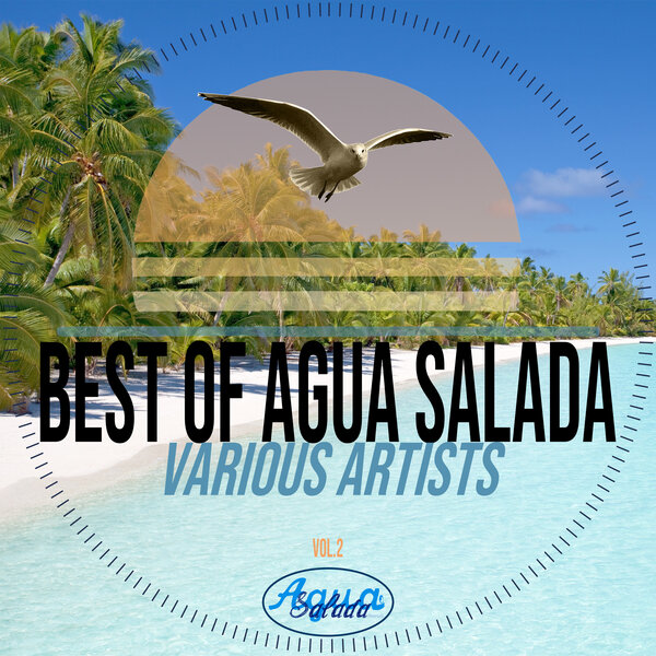 Various Artists – Best of Agua Salada Records Vol. 2