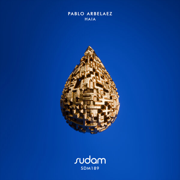 Pablo Arbelaez – Haia