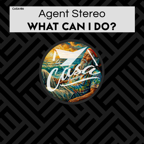 Agent Stereo – What Can I Do