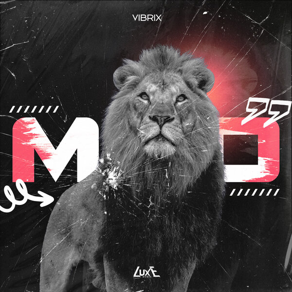 VIBRIX – Mad