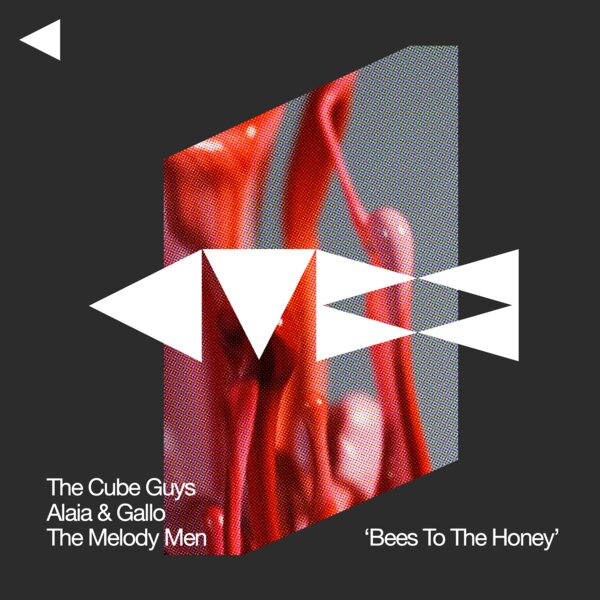 The Cube Guys, Alaia & Gallo, The Melody Men – Bees To The Honey